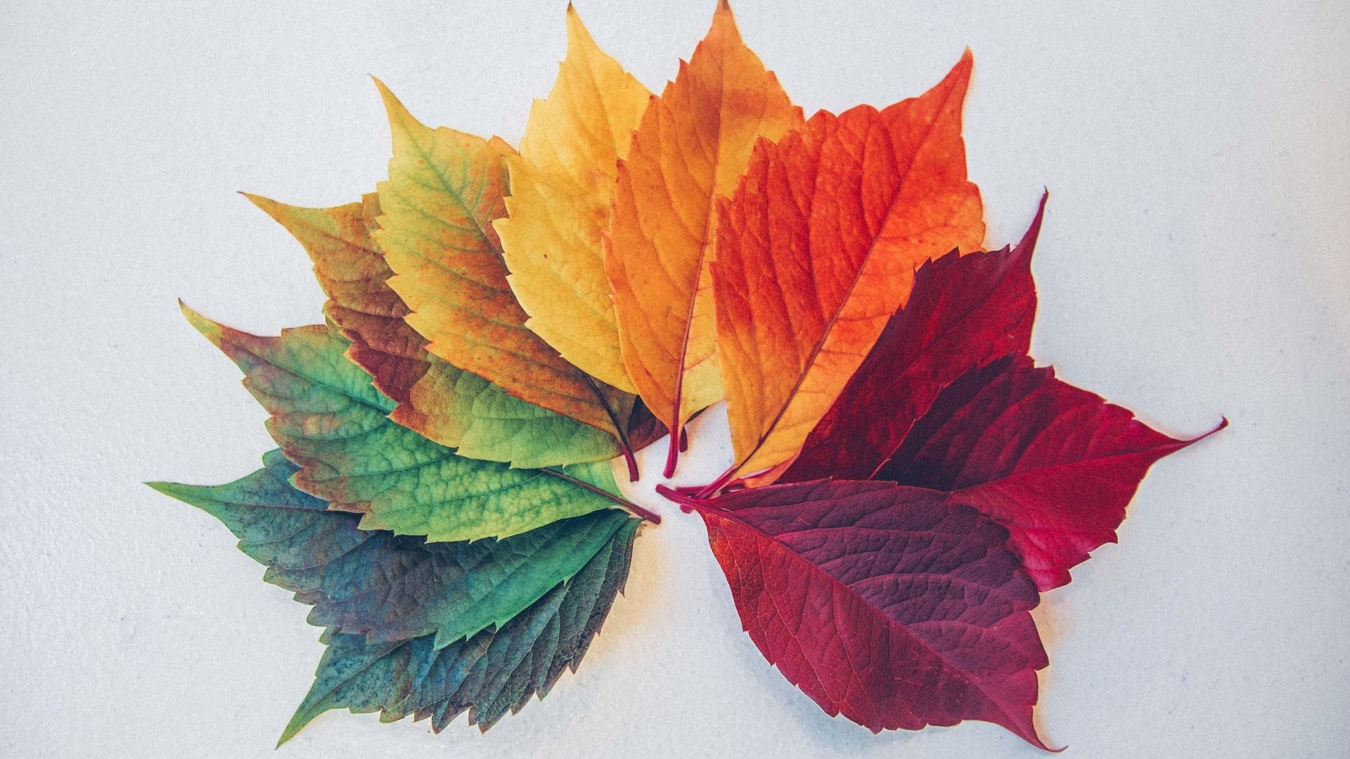 Préparez votre peau aux changements de saisons